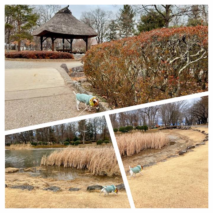 E2b89c33 0589 4197 be4c 415a4746c282 1771237612503