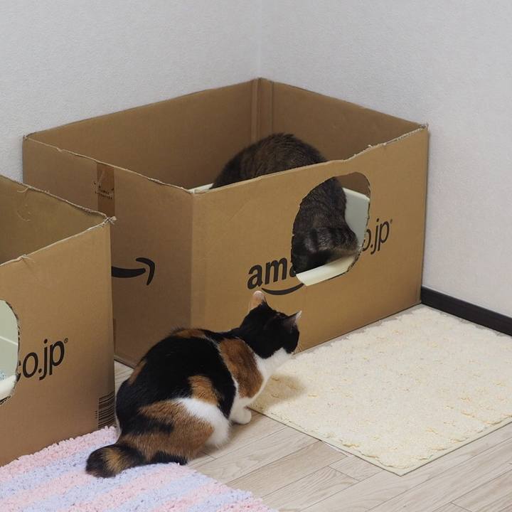 E2b8cc33 ad1e 4061 928d 4e9ab1d480f6 1515681864010