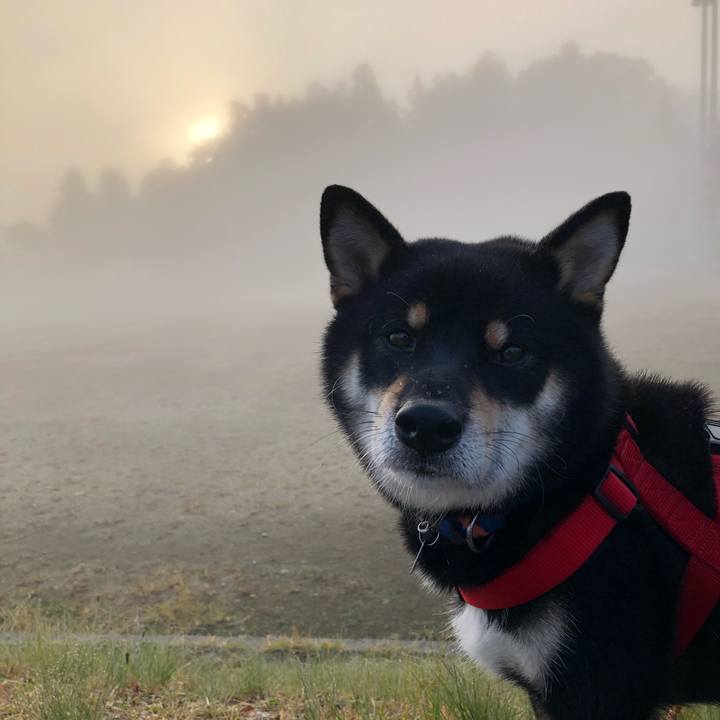 E2b8d70f 70f0 47b4 80af ffba60a11210 1573013989811