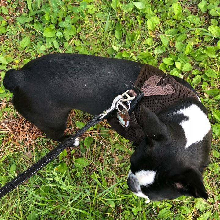 E2b8db60 c251 4605 a762 1bea3fc11284 1526129341484