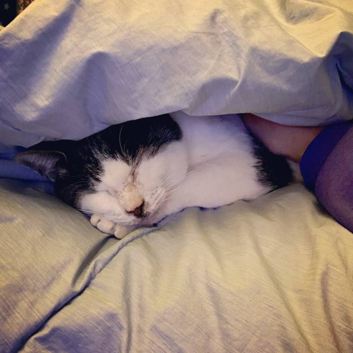 E2b8df56 b225 43c3 8230 fb768c885647 1614164606817