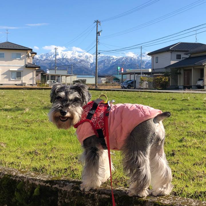 E2b8f69e 91a8 421a bb1a abe8f4a0c895 1578728801214