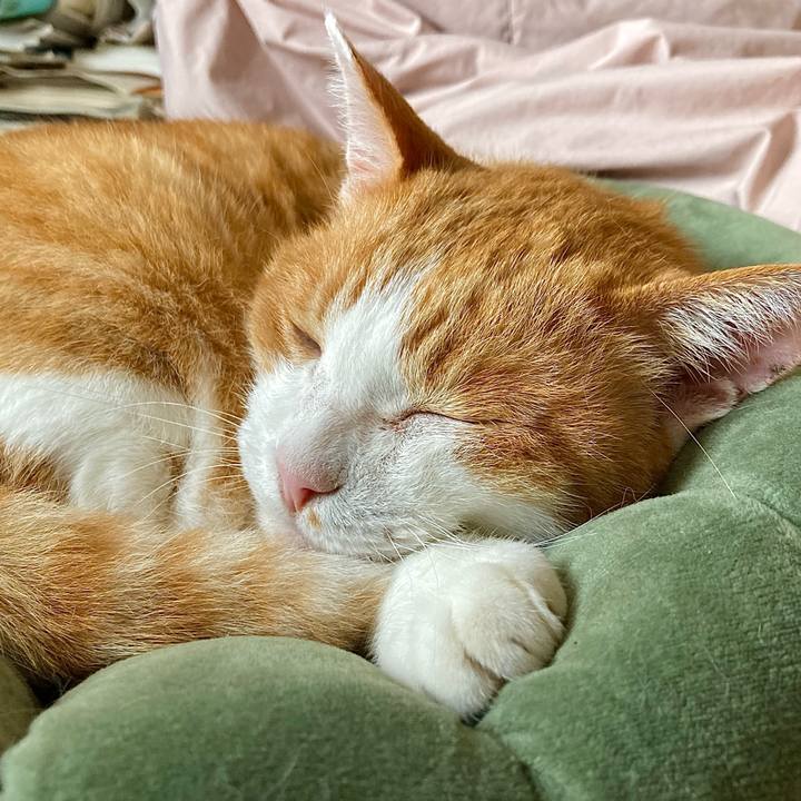 E2b917fa 004c 46a6 86ef feece3f2ce08 1664298987251