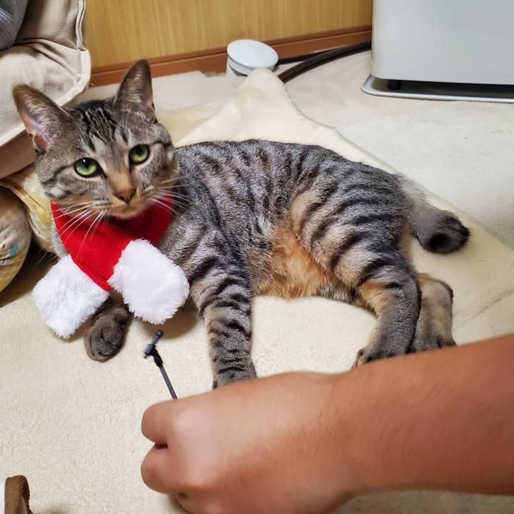 E2b92368 11bc 484b b4c7 bf87d49bcae7 1700916106382