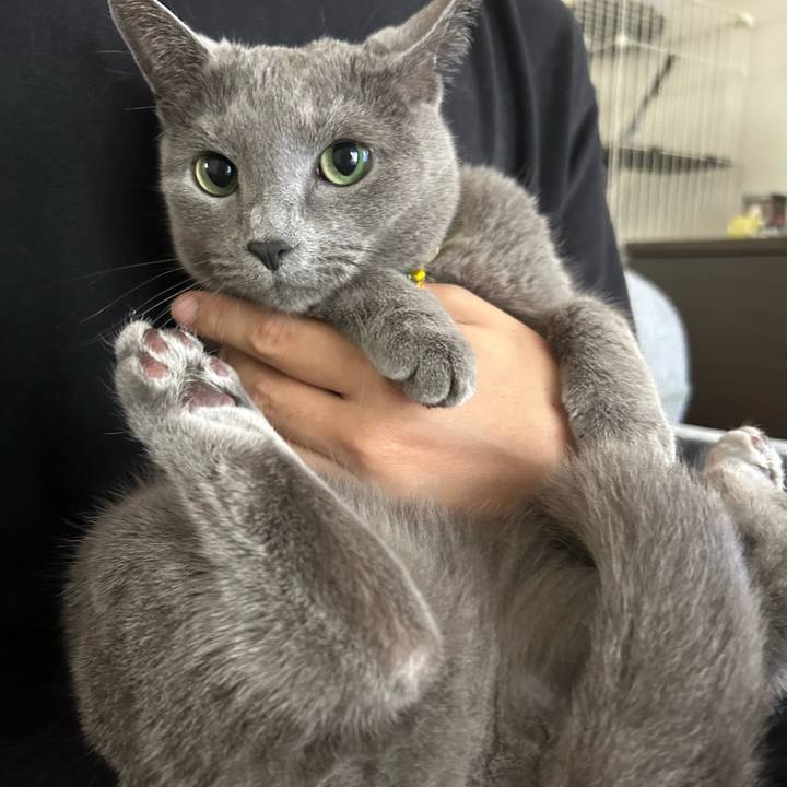 E2b92884 0334 4b90 82fe c7d32a86d579 1682836406137