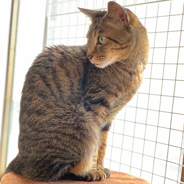 E2b928b5 33aa 4ae2 853b ea1172db5991 1589159520642