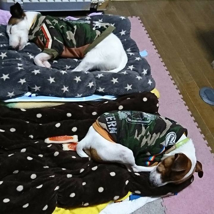 E2b97381 abe5 4945 9c3c d35aa6b7b632 1551021594736