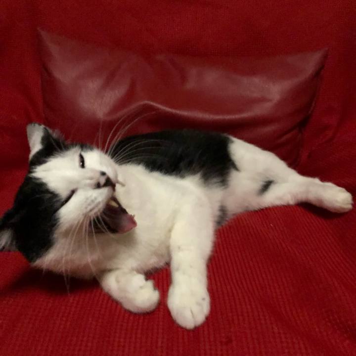 E2b9851e 7beb 4dea b43e 65fcc8eb2dfb 1559651013179