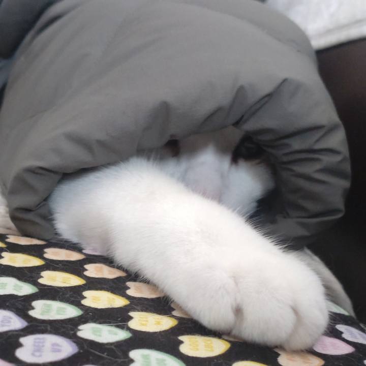 E2b9a027 6d63 4cb6 a955 c3fb7aaf9d75 1703988165676