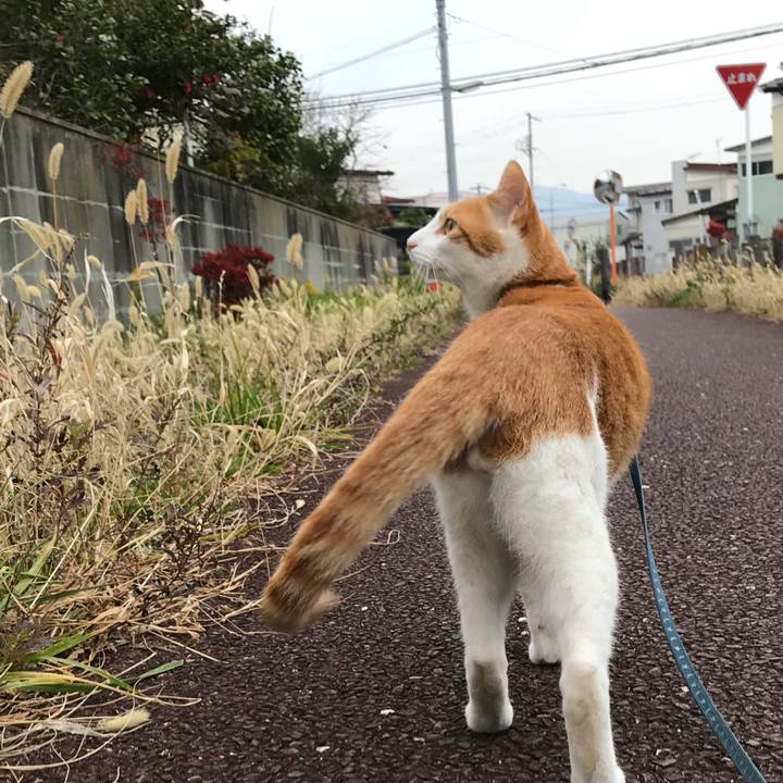 E2b9b215 d19f 453d 983a d04d851c53d5 1510633328354