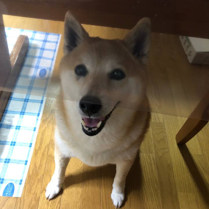 E2b9b54f bbe9 4115 8f8b 8a7c272a777b 1589335902440