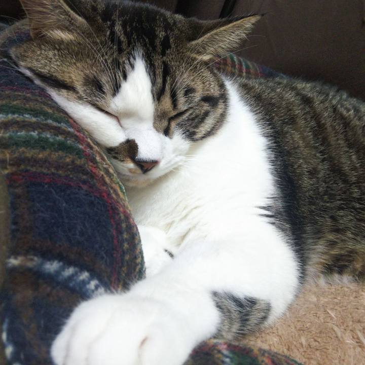 E2b9f2ad fed2 455f 85cf 4329ef9eafca 1664778494972