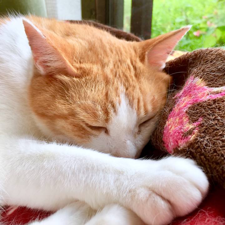 E2ba0603 8520 45c6 acff d56b18feb405 1567047497530