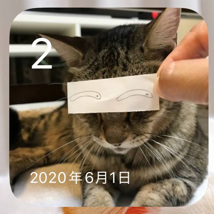 E2ba079d 518a 4196 a1aa a74838ac7f7a 1748859736562