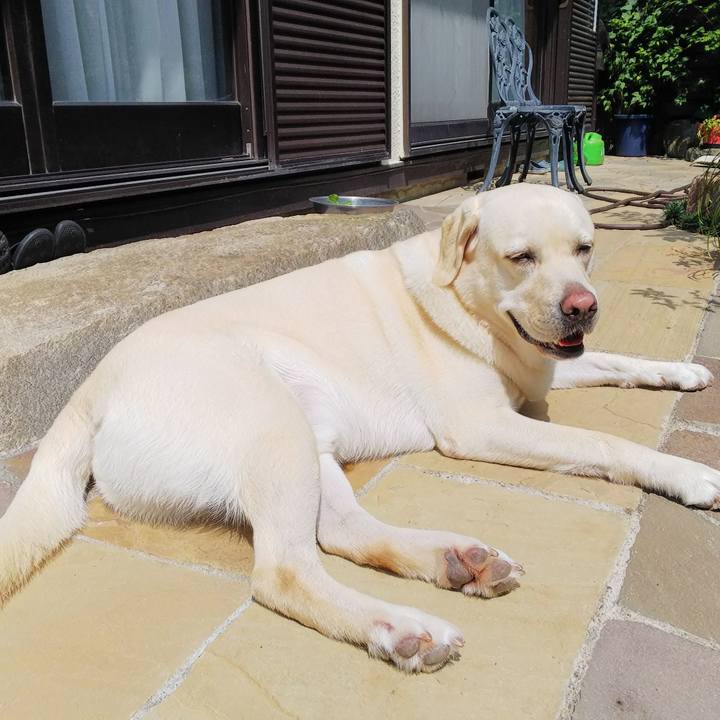 E2ba10b5 e733 424c aae8 6ce4a817ed43 1566618862455