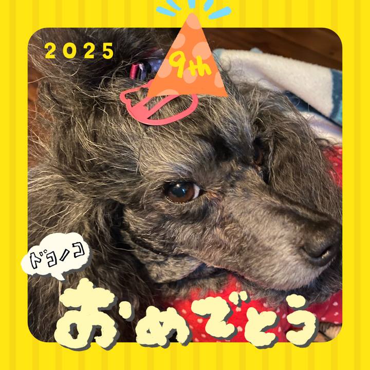 E2ba4cd3 1ff1 48ca b9a3 994de7956333 1749104483061