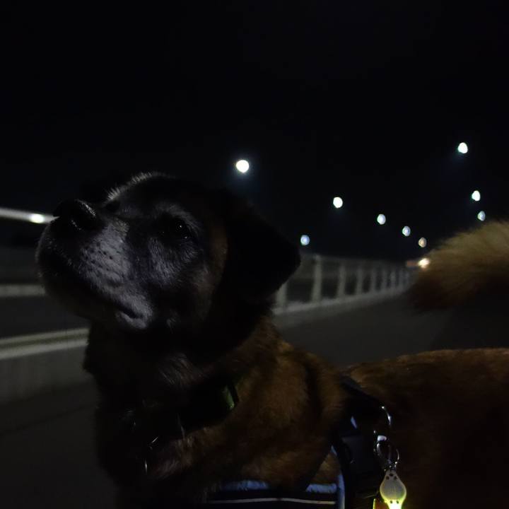 E2ba5716 8145 4d92 bc02 bc1f71b45de6 1620619875880