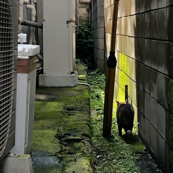 E2ba755a b9ad 451a 9655 fe525a5d9bd2 1593518710984