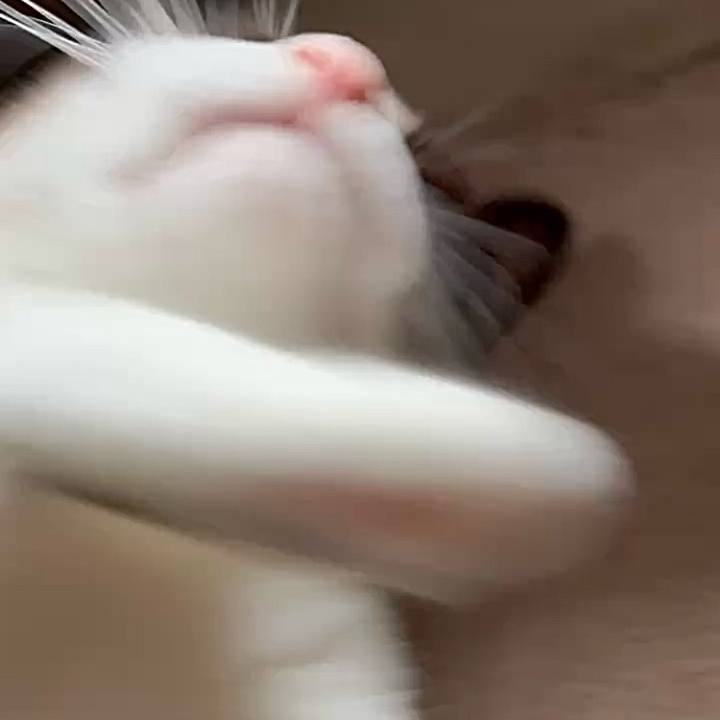 E2baa34f 7ac9 4434 b8da 4d0494234fb6 1754965691417