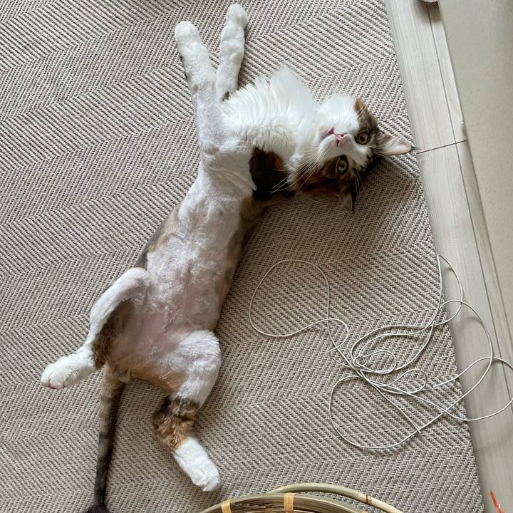 E2babfb4 1db2 4ca1 8de5 379c02fc4880 1658654406961