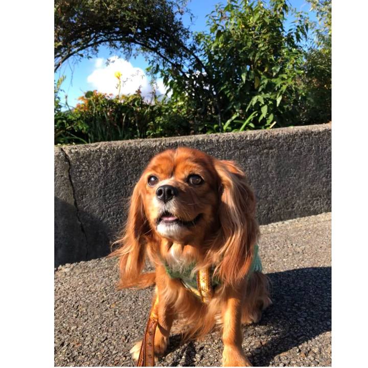 E2bac747 68c8 4113 94fe d41f79e27495 1606091473630