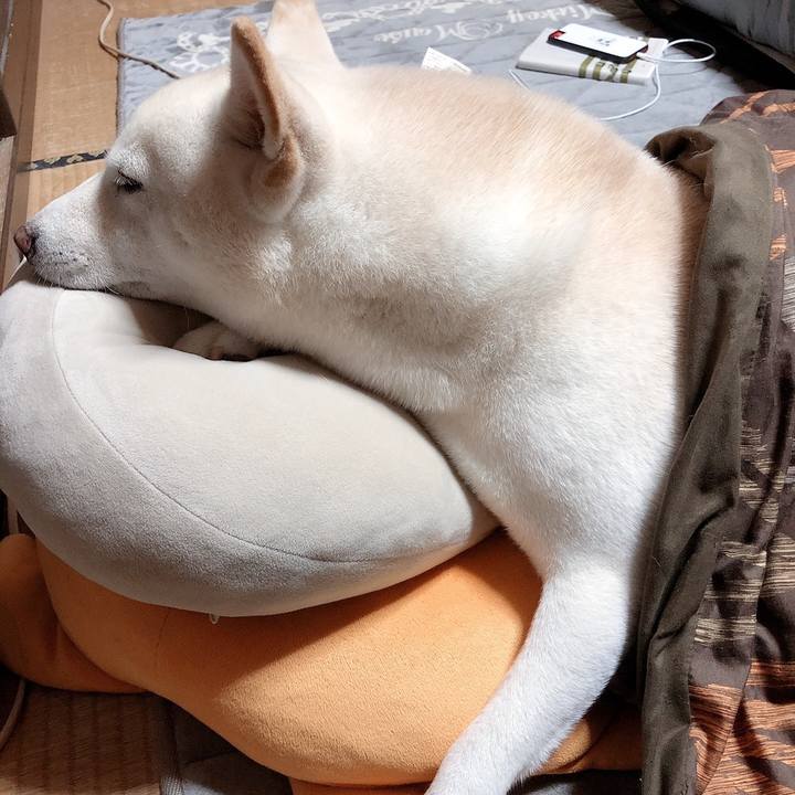 E2bb0148 500c 4c6d 8730 d83c24027e26 1637412690905