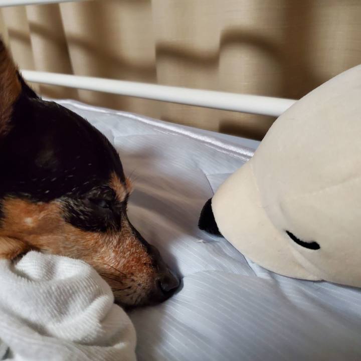 E2bb0b80 611e 410f 97d3 23ae6f720e05 1727960835004