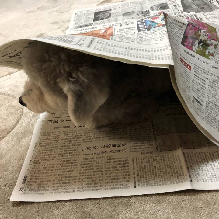 E2bb13ce b039 4ba9 8ad5 6c77f261b6f7 1604880631674