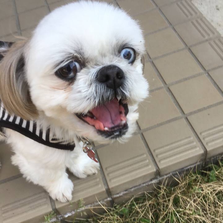 E2bb1494 c728 4e53 8a91 c73678c1a7e1 1522935619129