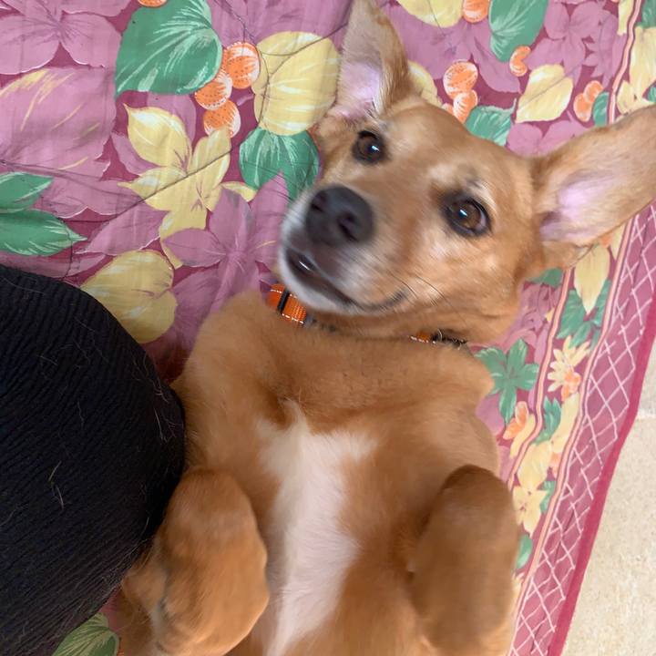 E2bb2385 a7f7 4b04 926e 7a565bcf83c1 1563362732921