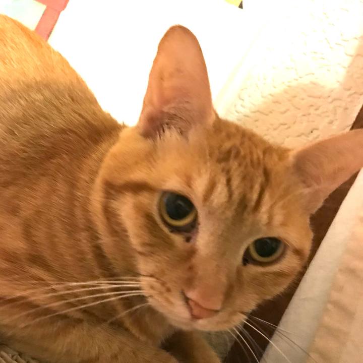 E2bb3f62 e5c2 415a 9470 4b4777099218 1594588236708