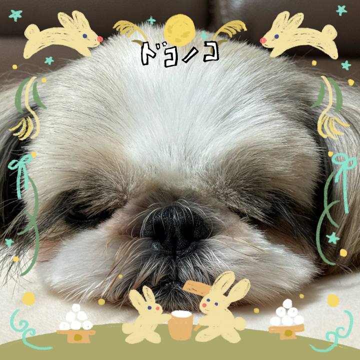 E2bb4a32 4575 41e3 901e 73b9ee50426c 1726969344154