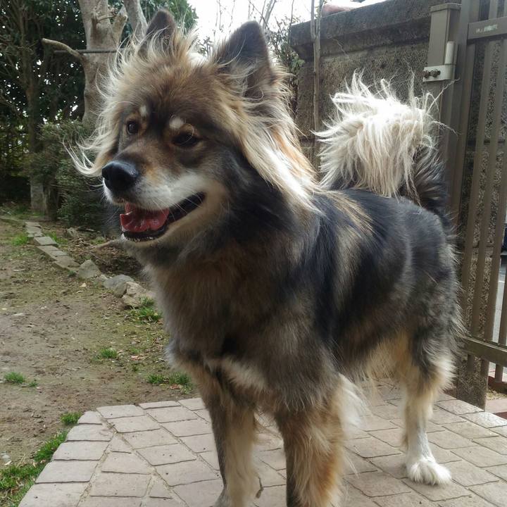 E2bb56e4 b89b 48d4 a6fc 794d406bbad9 1550833122292