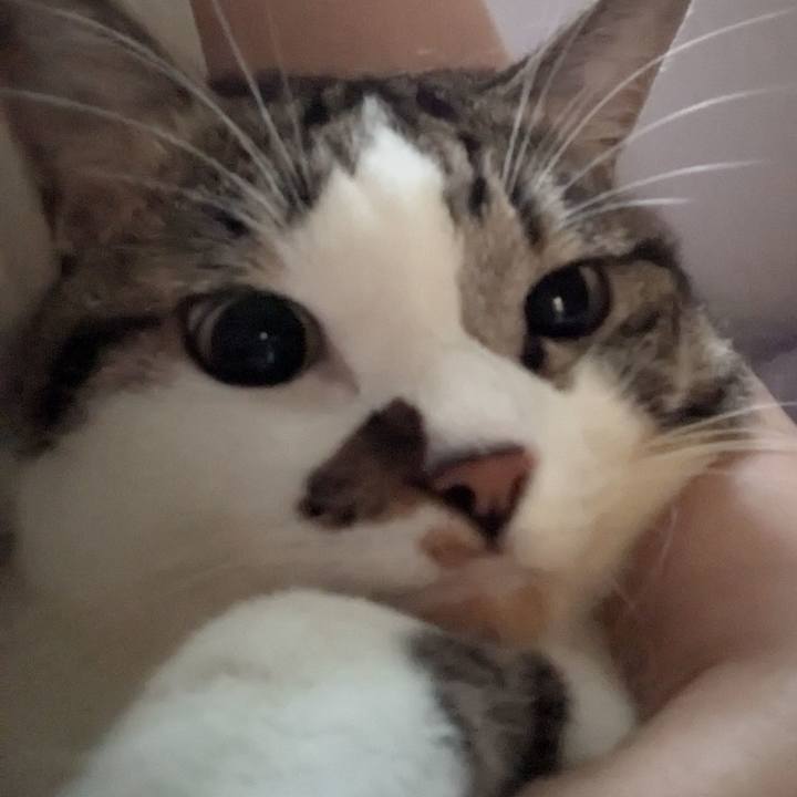 E2bb5d97 b2d7 4833 b274 d49d6539d353 1754689431169