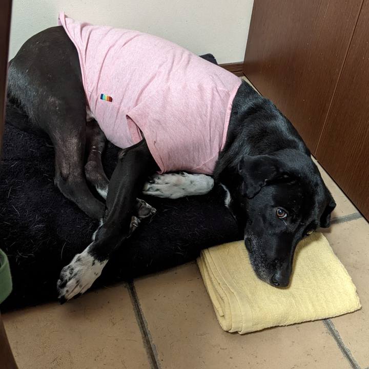 E2bb6fbb fb6a 4307 ae0f 82a1ca848f8b 1639221431409