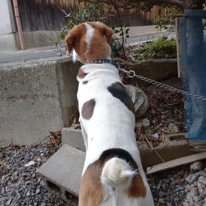 E2bb9710 98e3 4f20 888d fa0c0039341e 1614913411624