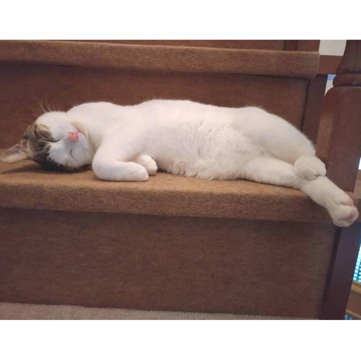 E2bbf36d 939a 4fac bb4c 5a42d78a568b 1724388556165