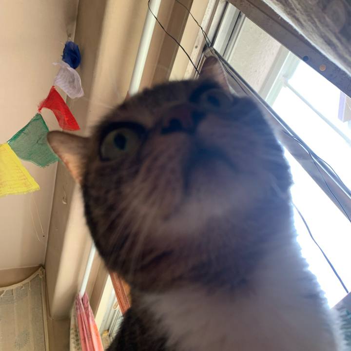 E2bc00d1 5b0f 4f09 a06c be2fa9c07381 1651899201439