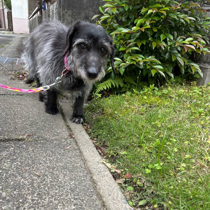 E2bc02e6 d67e 4dbe b87e 9aee85d67f98 1747610006150