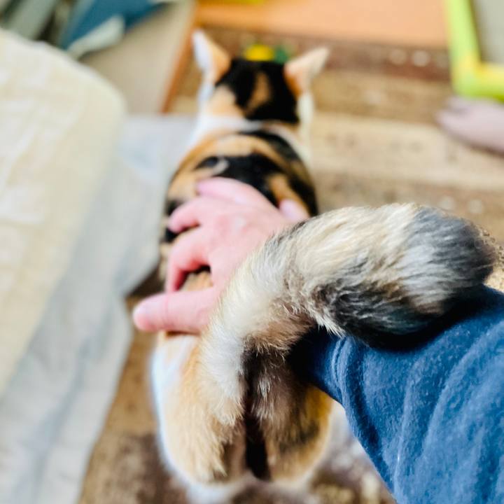 E2bc0df7 85af 4966 a052 7eb0d4bcdfc4 1605492510854