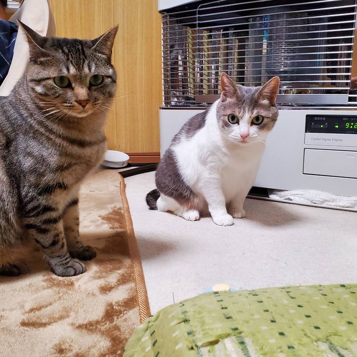 E2bc189e 98fb 48a4 a742 cc91e58b9c1b 1709822300525