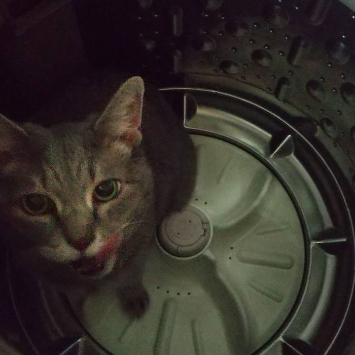 E2bc22c5 d2cb 468c a08d 9e6838a7e66f 1658910350187