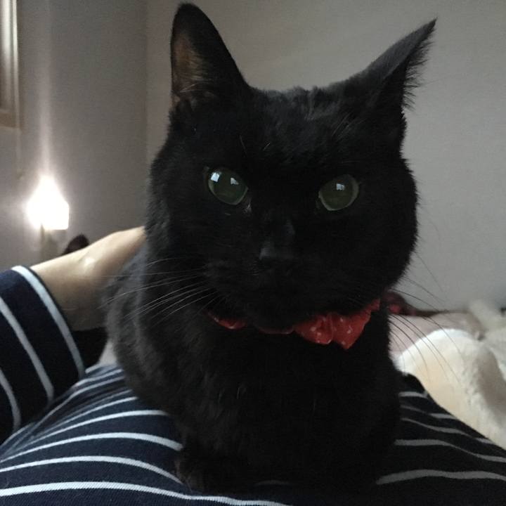 E2bc463f 0d12 47f8 96c2 1bb9333cc5ce 1553115266303