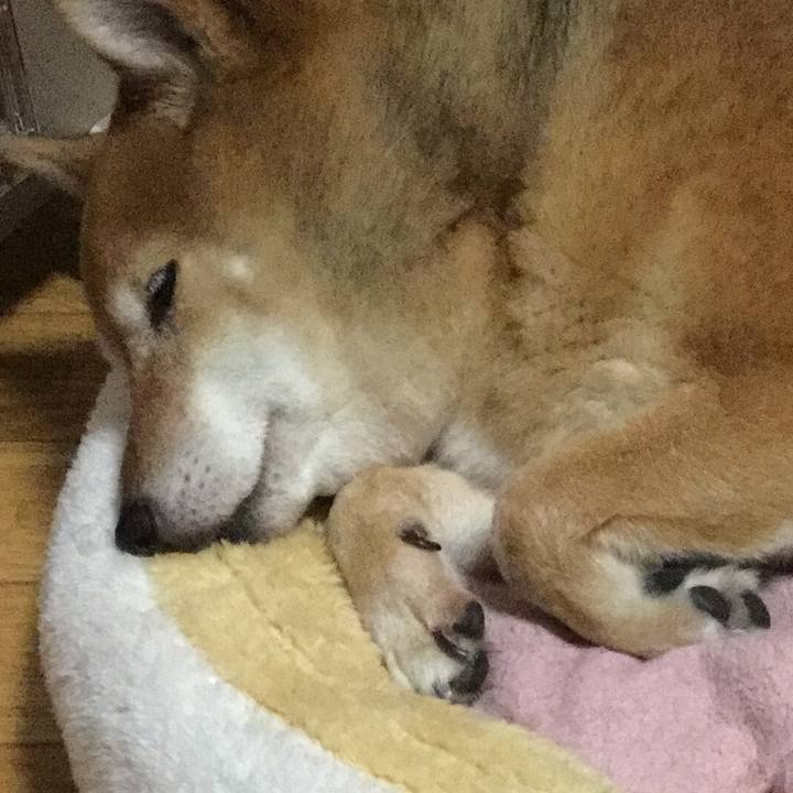 E2bc7b65 57e4 420c 8bd1 30f9bcfa6fa6 1578056636601