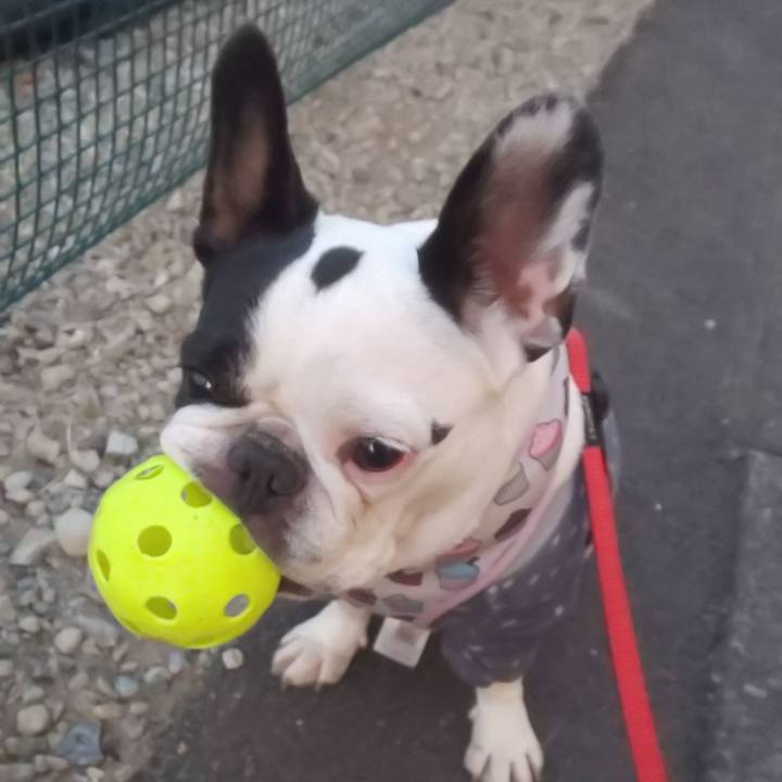 E2bca5fc 750a 4e95 b25a a02eb40020bd 1608214424806