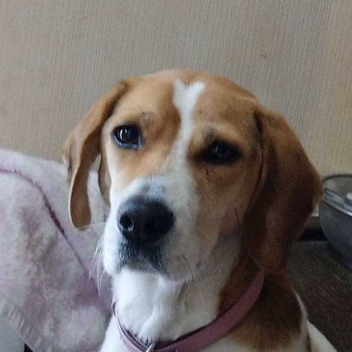 E2bca8a2 8ac2 4548 9ccf b9f6bc63dfef 1576818774506