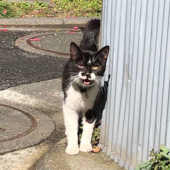 E2bceebd d3a6 431f 8b7c 96216b8e2b4d 1612734381104