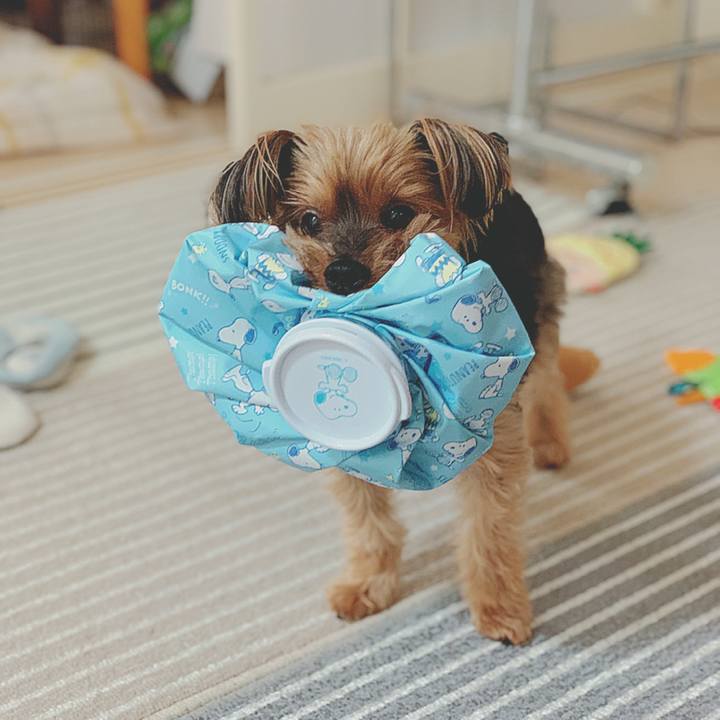 E2bcf1fc 13cb 402c 8ad0 c0be31c98467 1628563971495