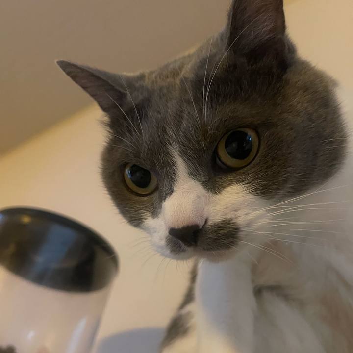 E2bd0eac 98d7 4012 88df c4b27a2361a3 1759363873229