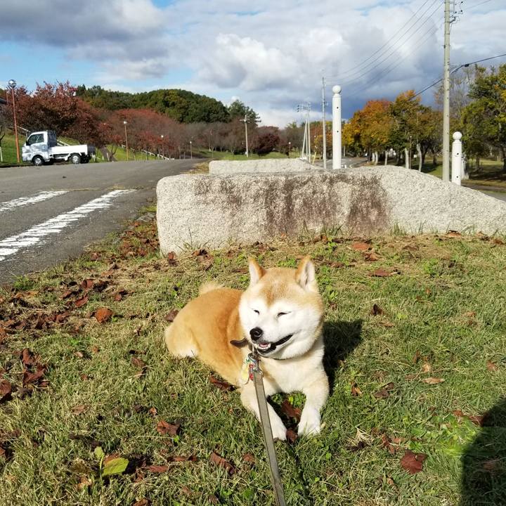 E2bd2a45 6f63 4ded 8e7d 90cc10157e54 1698643486990